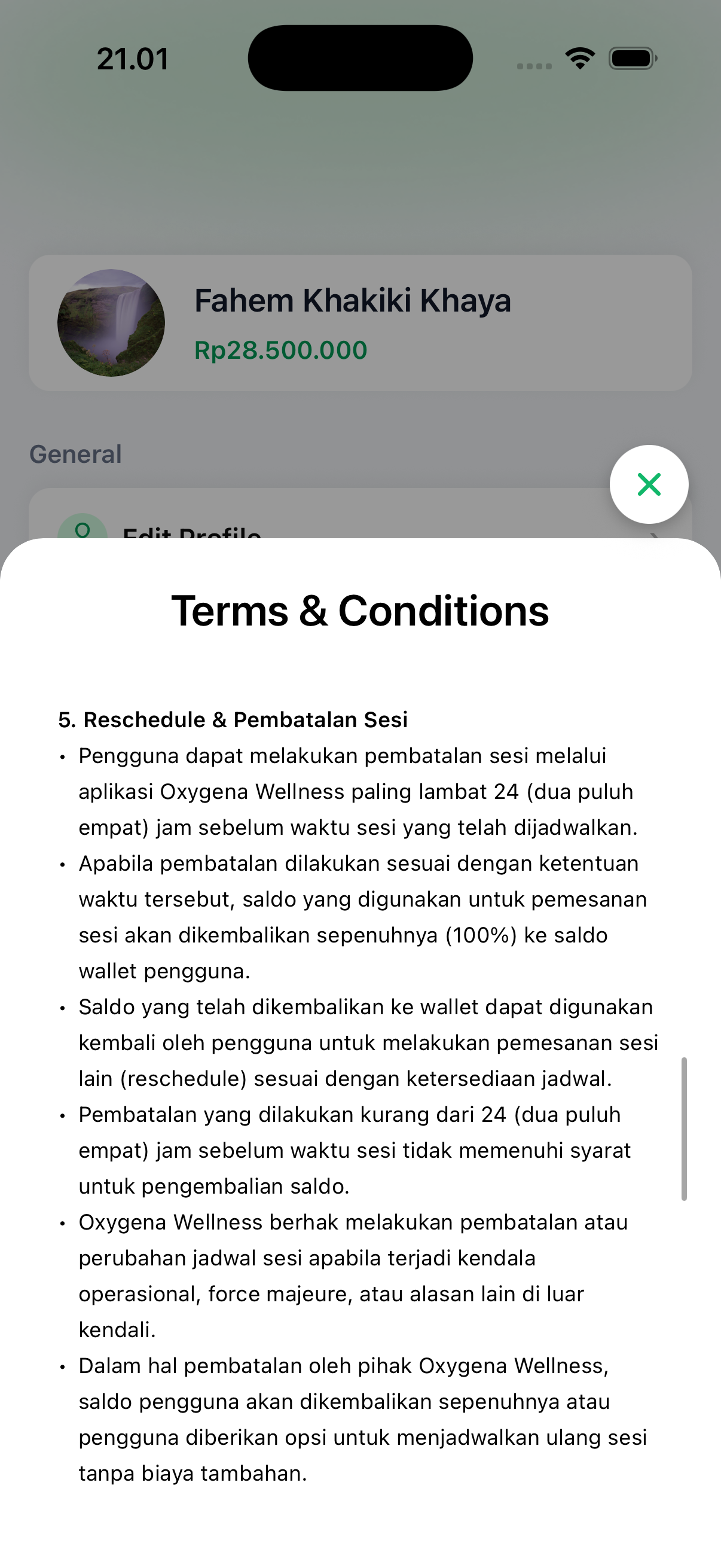 Screenshot of Terms and Conditions 3